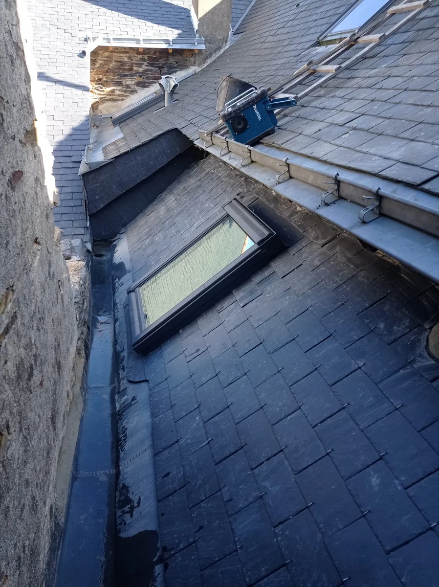 Roland-Jimmy-depannage-entretien-bécon-les-Granits (4)